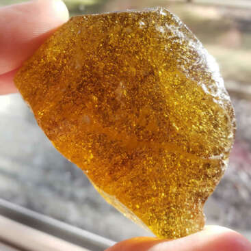 Yellow Solaris Seafoam